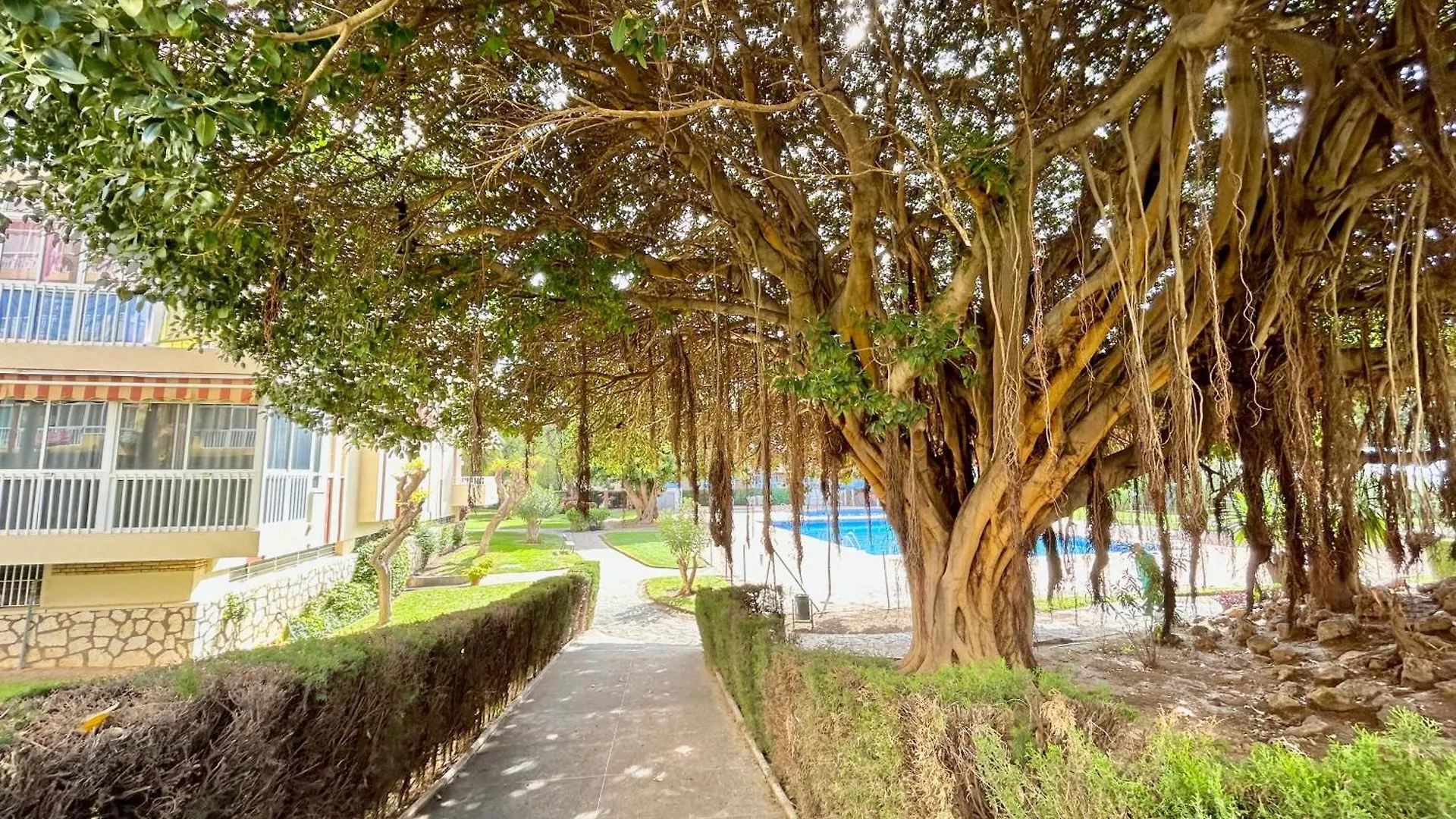 Hoja De Palma Apartment Benalmadena